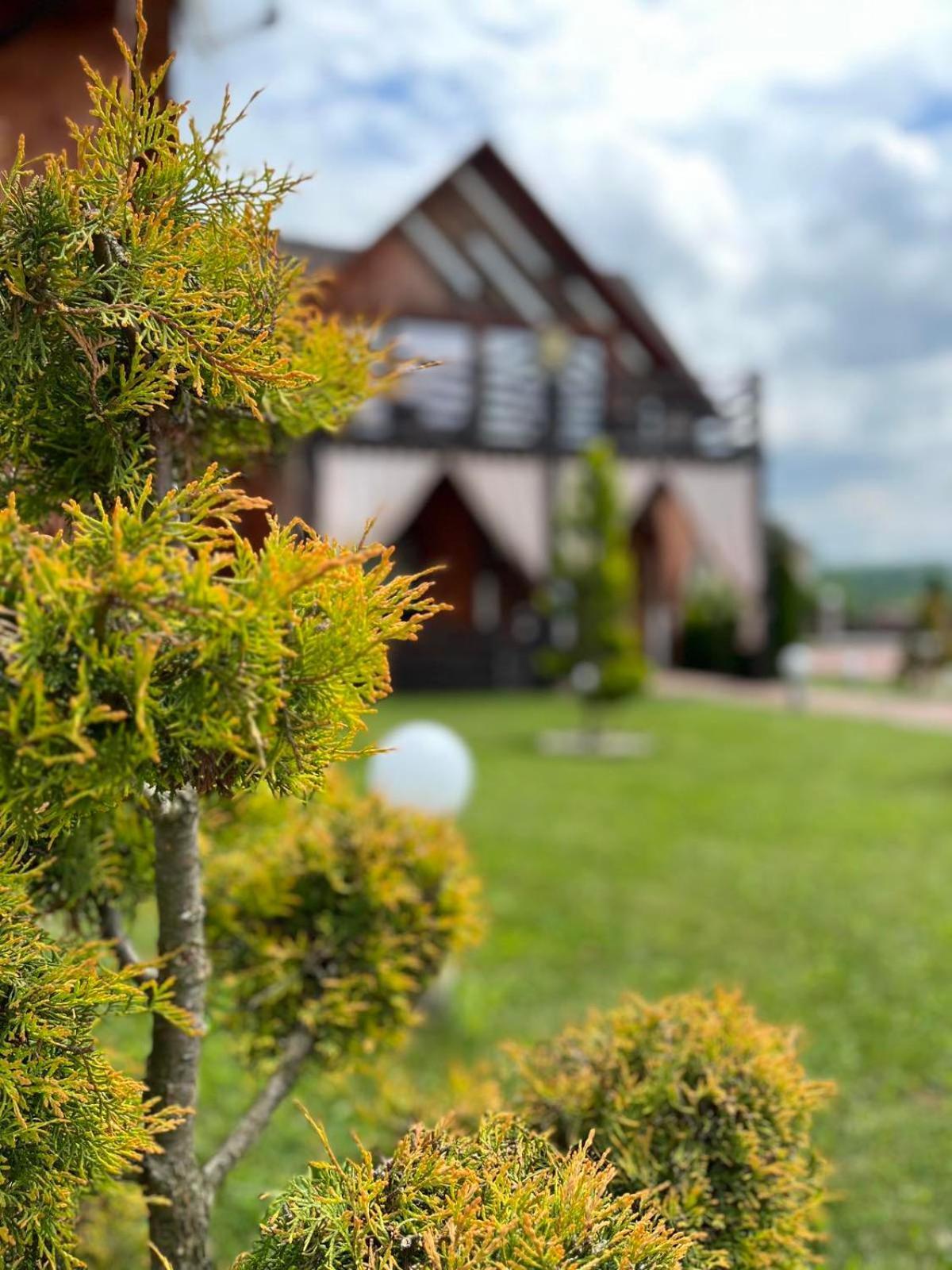 Hotel Four Seasons In Carpathians Migowo Zewnętrze zdjęcie